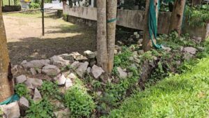 WhatsApp Image 2025-06-14 at 11.08.58 PM