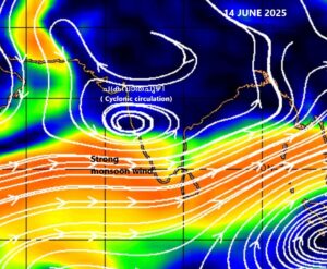 WhatsApp Image 2025-06-14 at 5.49.50 PM