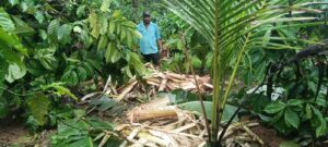 WhatsApp Image 2025-06-14 at 8.40.01 PM(1)