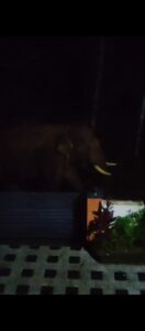 WhatsApp Image 2025-06-15 at 1.17.21 PM