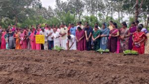 WhatsApp Image 2025-06-16 at 5.37.45 PM