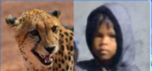 WhatsApp Image 2025-06-21 at 2.00.56 PM