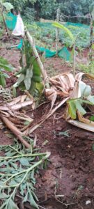 WhatsApp Image 2025-06-21 at 8.28.38 PM