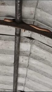 WhatsApp Image 2025-06-21 at 9.33.40 PM