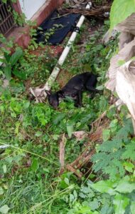 WhatsApp Image 2025-06-22 at 3.47.14 PM(1)