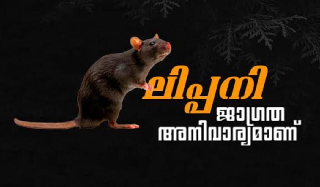 WhatsApp Image 2025-08-12 at 16.50.19_bc23406a