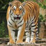 WhatsApp Image 2025-07-10 at 20.20.19_6fba953a