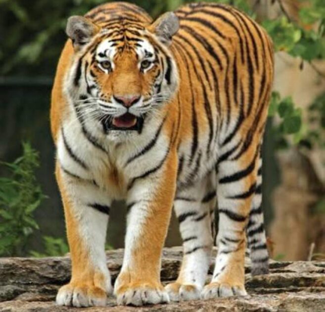 WhatsApp Image 2025-07-10 at 20.20.19_6fba953a