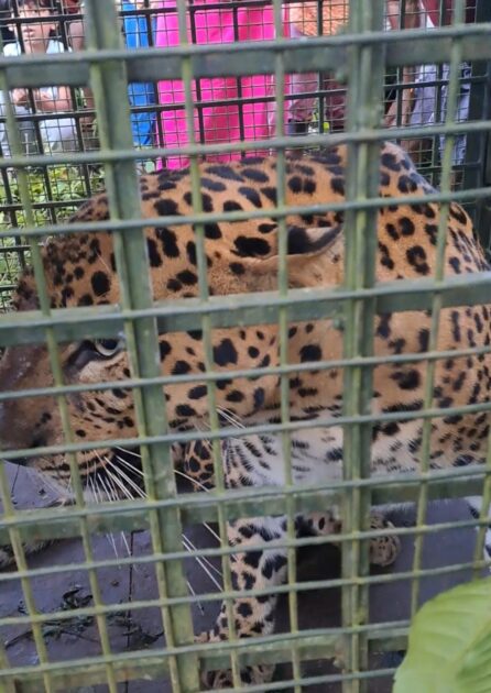 WhatsApp Image 2025-10-01 at 10.35.32_7fb1d3c1