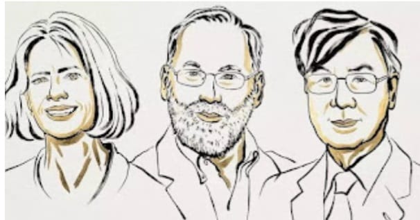 WhatsApp Image 2025-10-07 at 09.18.05_84871dcb