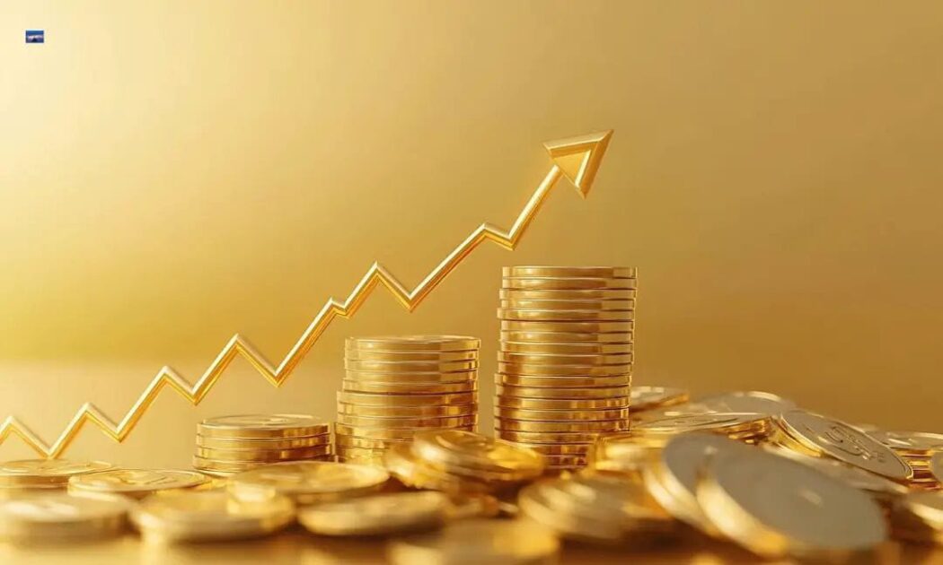 WhatsApp Image 2025-10-07 at 11.19.07_32de0d0a