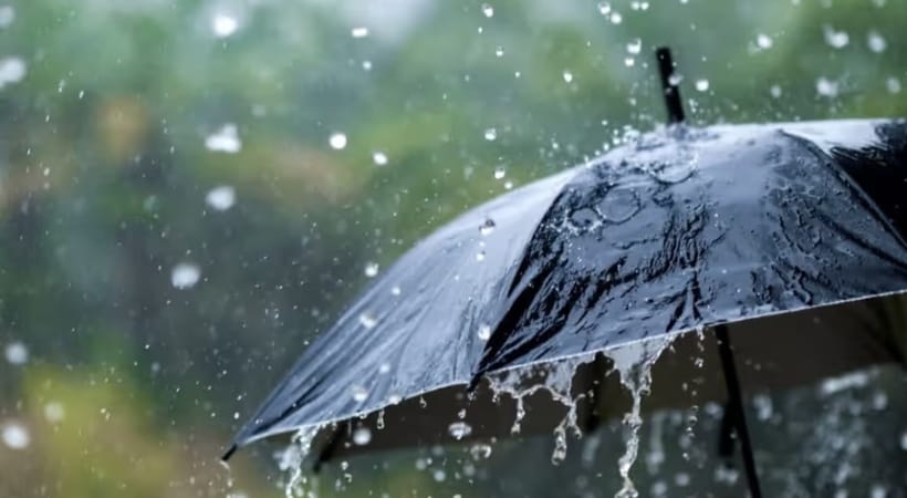 WhatsApp Image 2025-10-07 at 14.40.27_008b7210