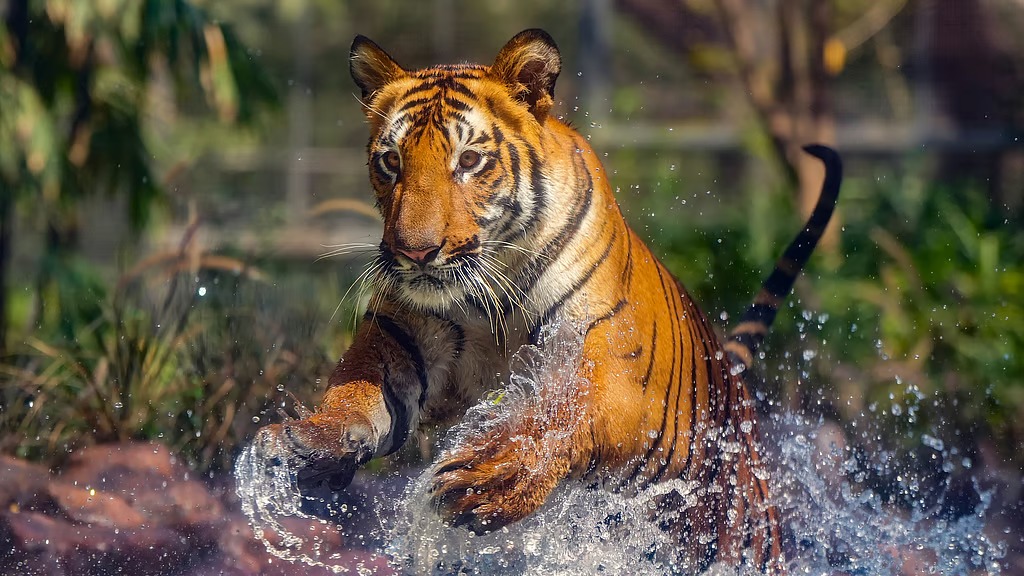 WhatsApp Image 2025-10-07 at 17.50.22_0e320ad1