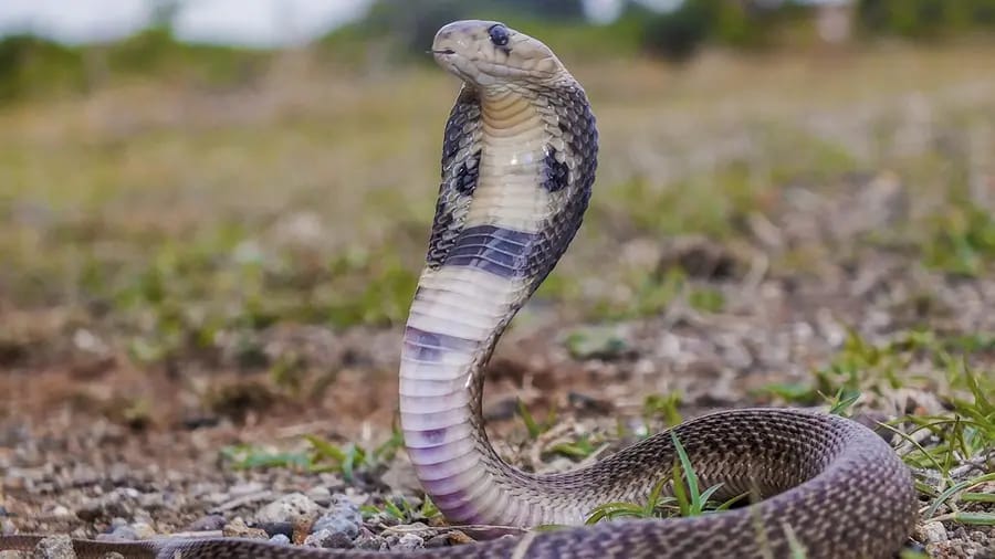 WhatsApp Image 2025-10-11 at 09.02.54_5fd4a0e1