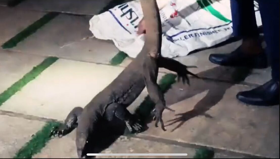 WhatsApp Image 2025-10-13 at 09.57.41_30249815