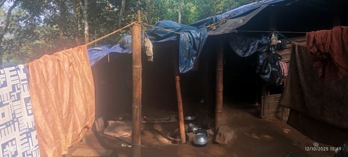 WhatsApp Image 2025-10-13 at 10.01.13_a5fccde5