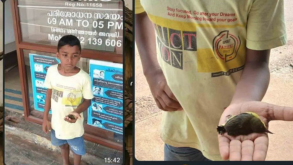 WhatsApp Image 2025-10-13 at 11.49.53_5d05a74f