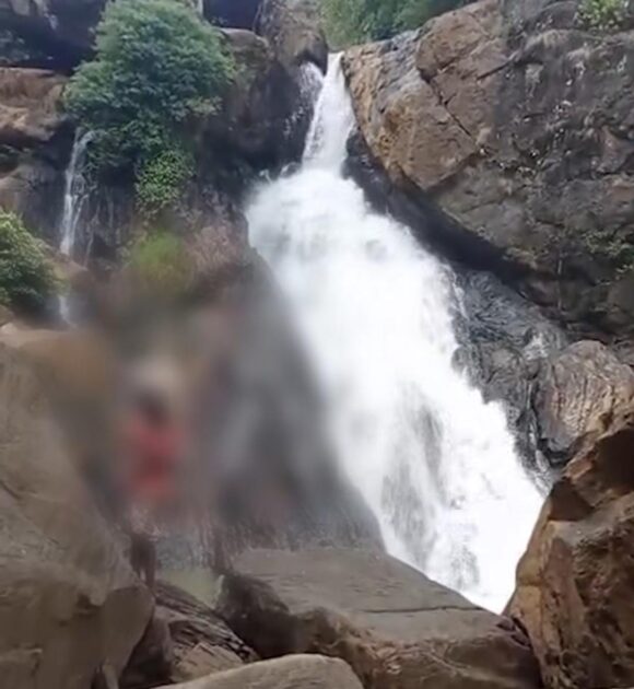 WhatsApp Image 2025-12-01 at 11.29.00_095ab730